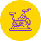Bikes